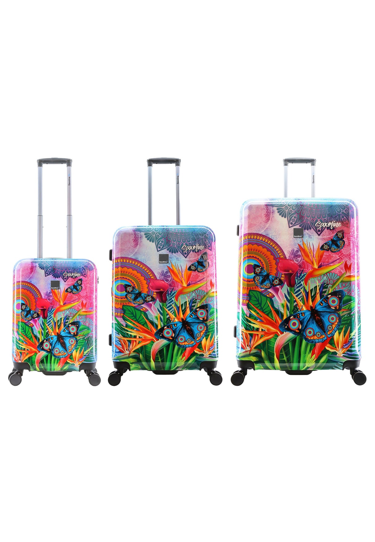Saxoline Blue Butterfly Nature Printed Hard Suitcase Set