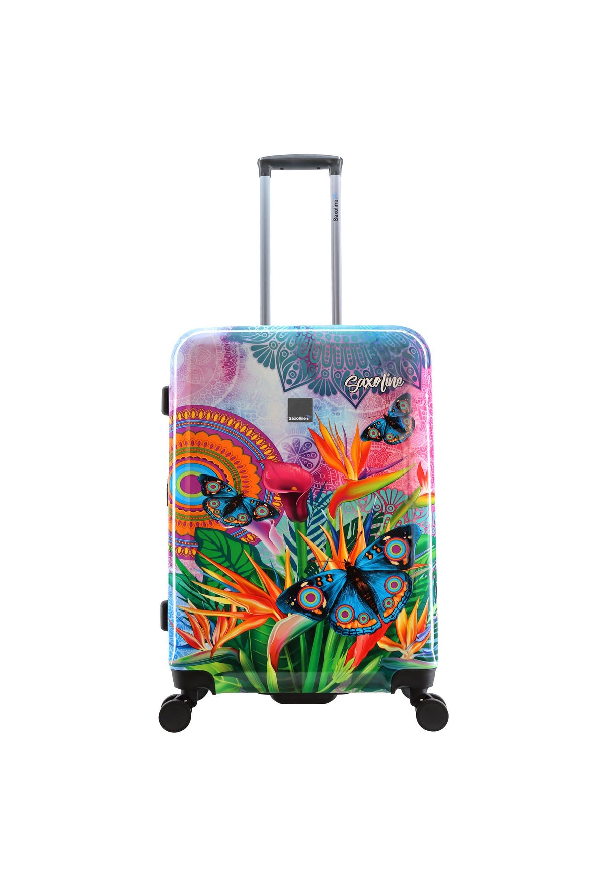 Saxoline Blue Butterfly Nature Printed Hard Suitcase Set