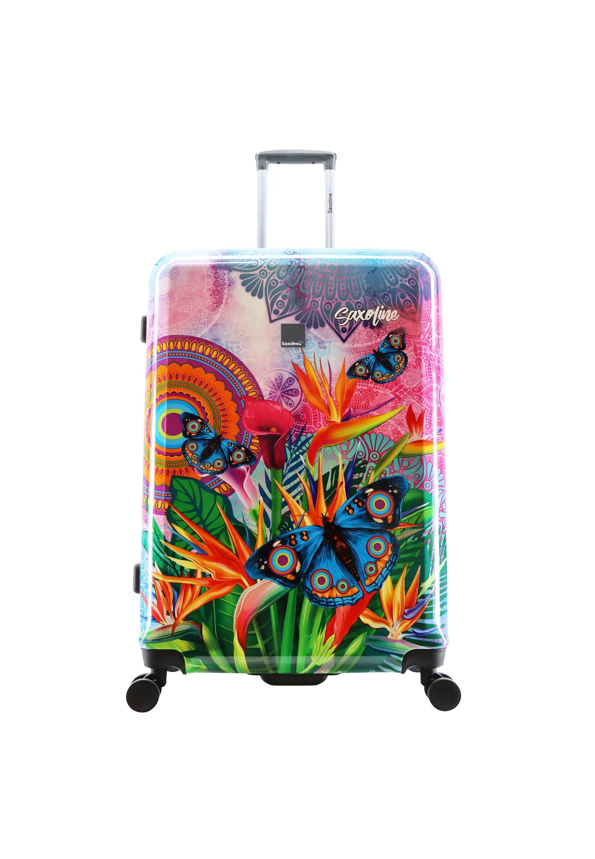 Saxoline Blue Butterfly Nature Printed Hard Suitcase Set