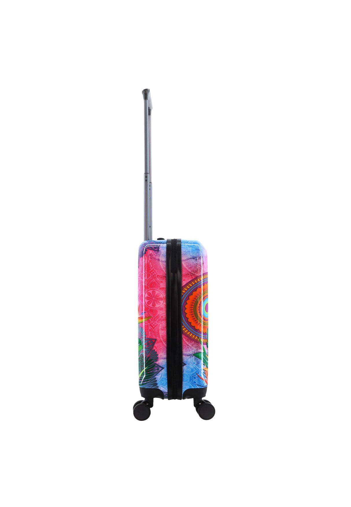 Saxoline Blue Butterfly Nature Printed Hard Suitcase Small