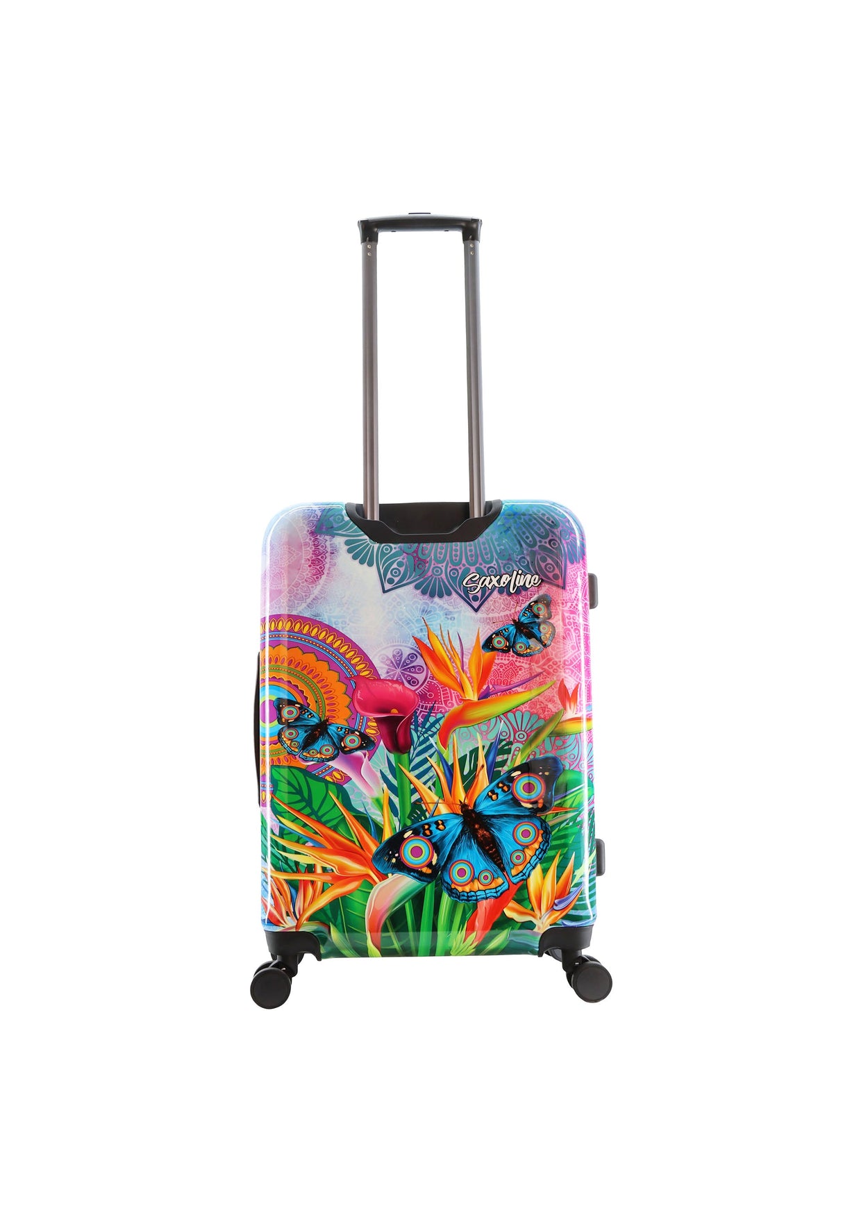 Saxoline Blue Butterfly Nature Printed Hard Suitcase Medium