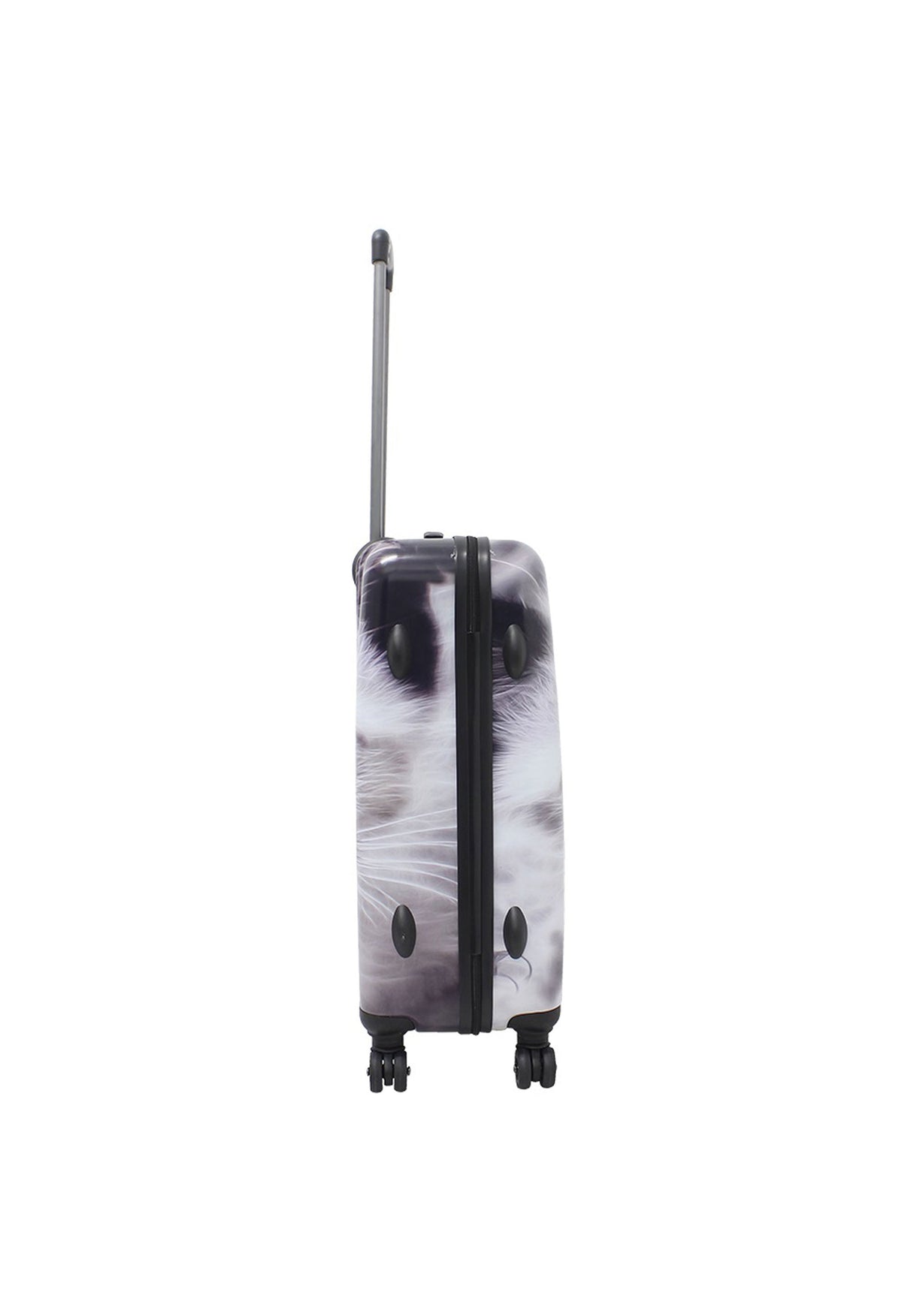 Saxoline White Cat Print Hard Suitcase Medium
