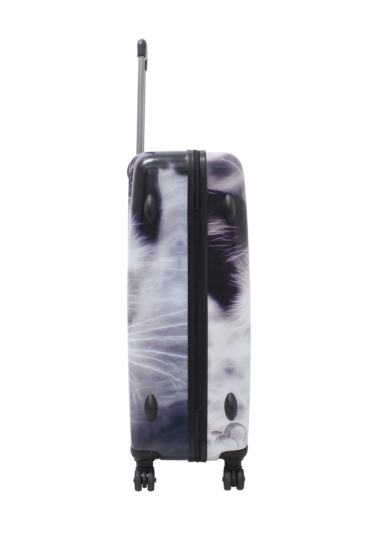 Saxoline White Cat Print Hard Suitcase Set