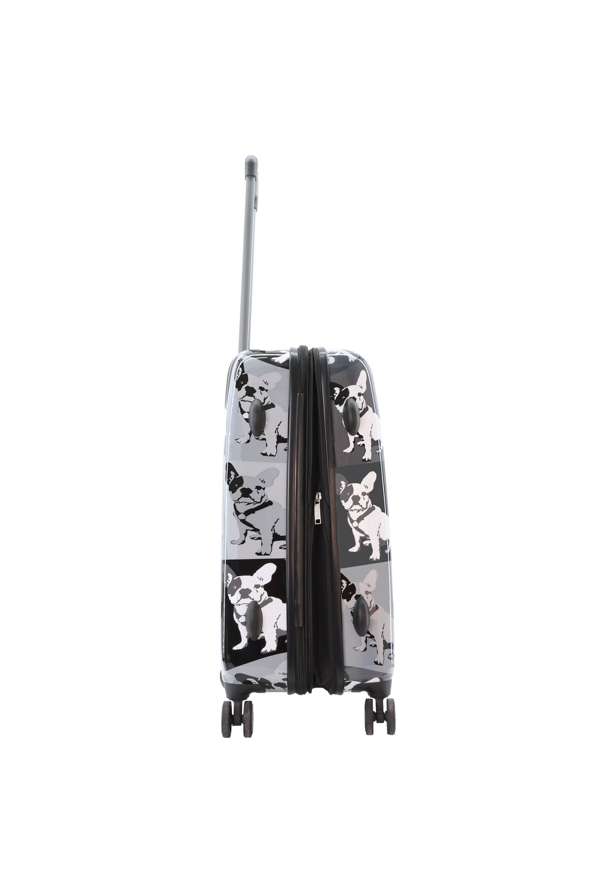 Saxoline Bulldog Monochrome Printed Hard Suitcase Medium