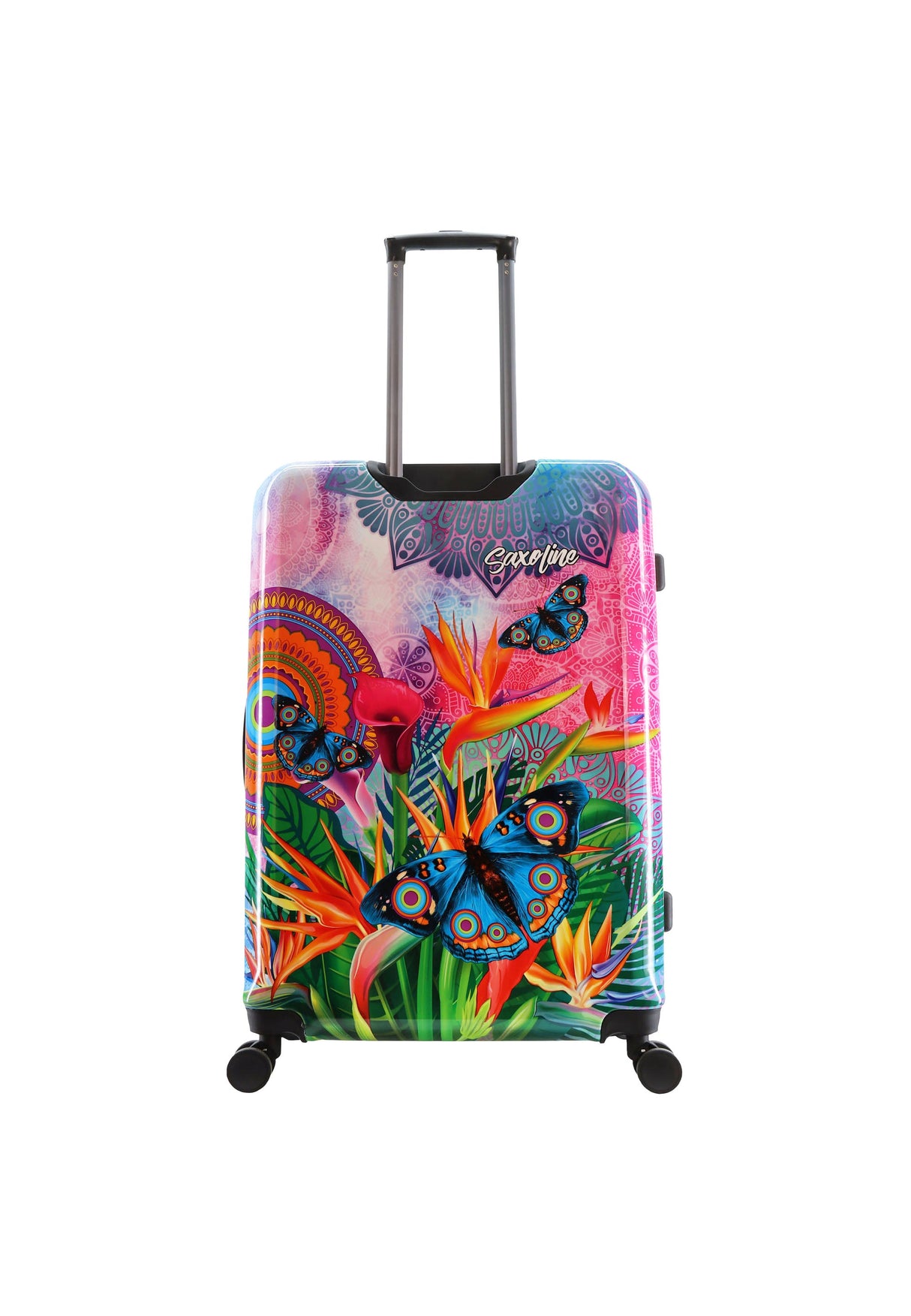 Saxoline Blue Butterfly Nature Printed Hard Suitcase Set