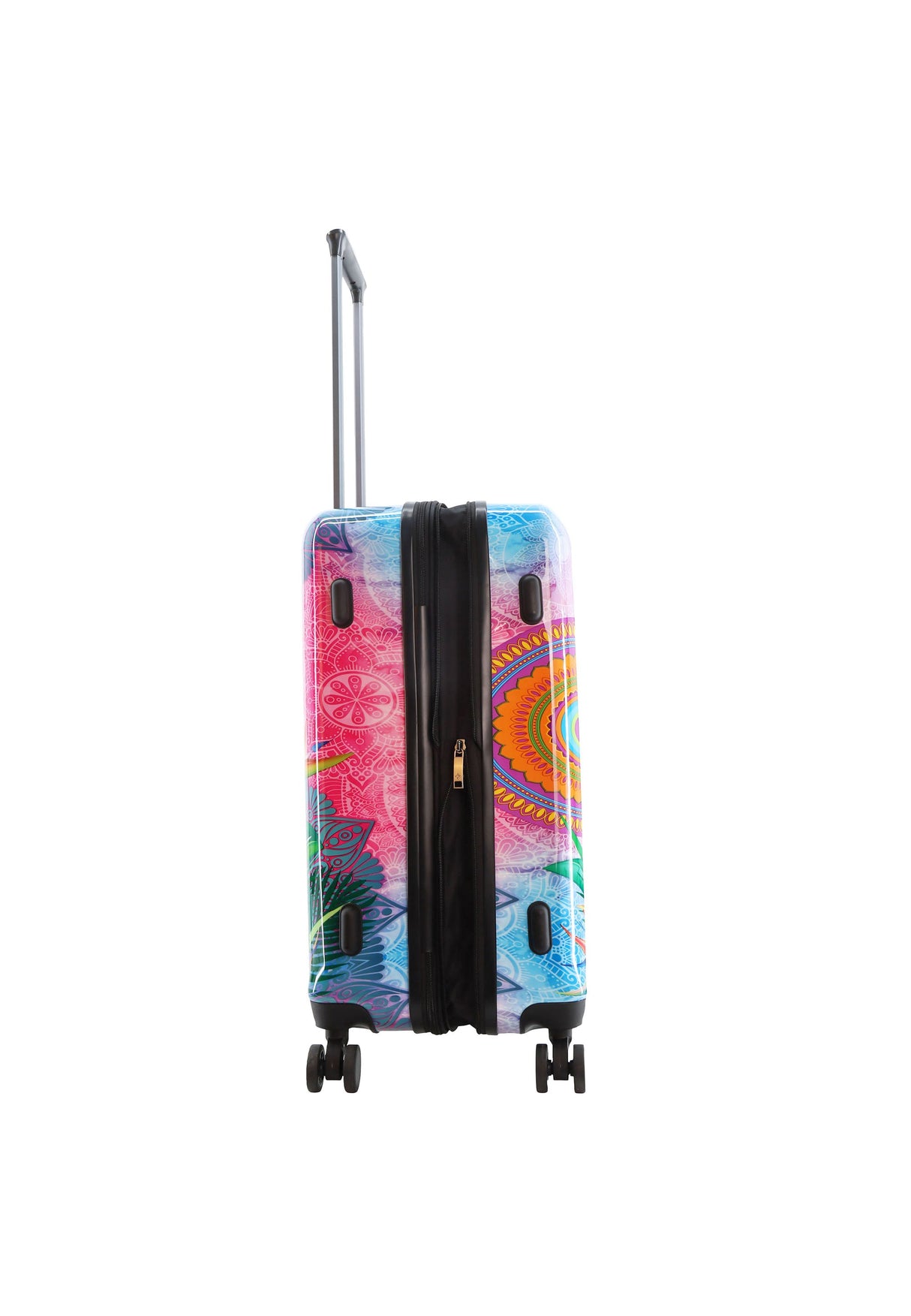 Saxoline Blue Butterfly Nature Printed Hard Suitcase Medium
